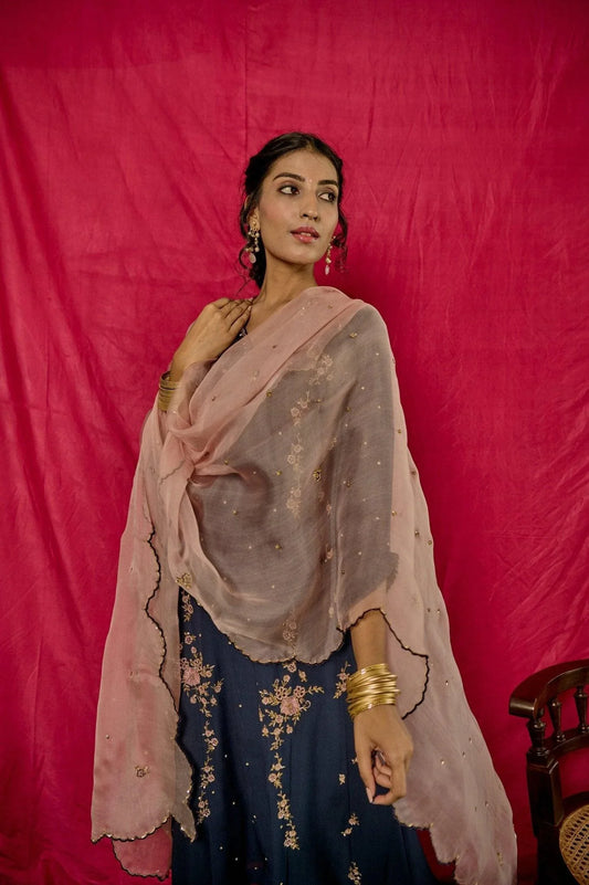 Airforce blue embroidered kurta pants with pale pink organza dupatta - Sohni