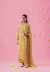 Chartreuse Block Print Georgette Suit Set With Mukaish - Sohni