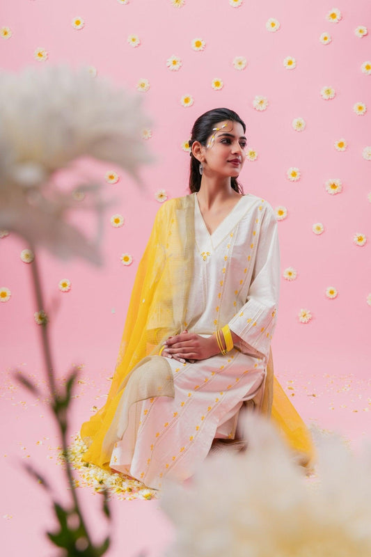 Kurta/Kurta Sets (Rozana) - Sohni