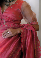 Coral pink striped tissue chanderi saree with birds of paradise embroidery