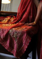 Coral pink striped tissue chanderi saree with birds of paradise embroidery