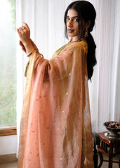 Sap green striped tissue chanderi kurta set with peach gold booti organza dupatta and exotic birds embroidery
