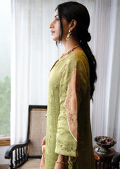 Sap green striped tissue chanderi kurta set with peach gold booti organza dupatta and exotic birds embroidery