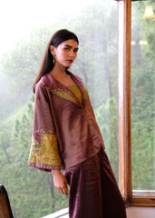 Burgundy striped chanderi kimono jacket and pants set with two toned green appliqué embroidery