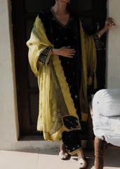 Ibtidā Navy–Green Velvet Kurta with Tile Motifs and Lime Organza Dupatta