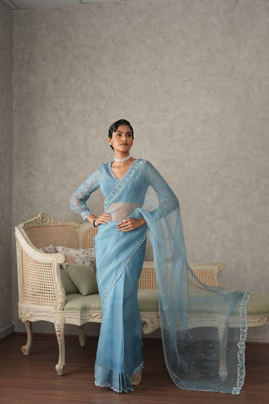 Sky blue organza saree with pearls embroidery cutwork border - Sohni