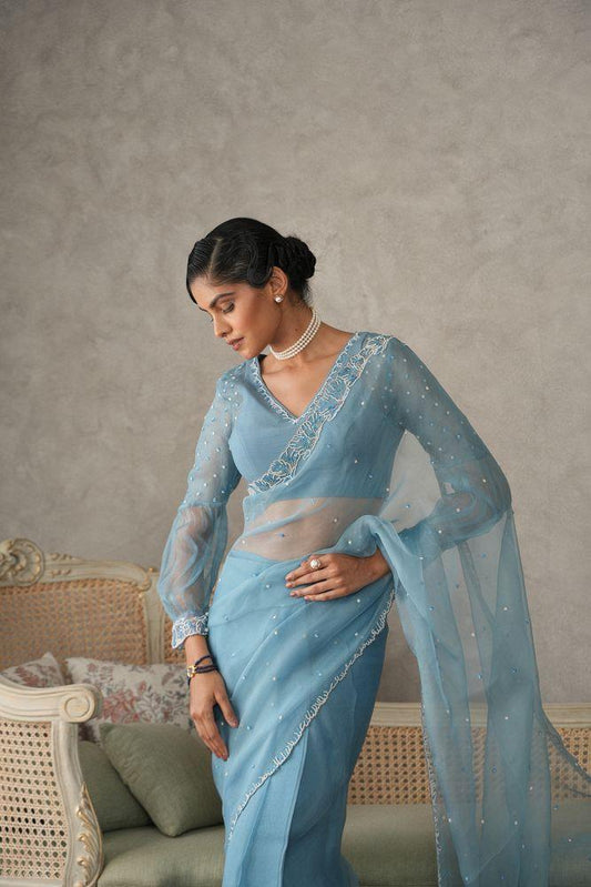 Sky blue organza saree with pearls embroidery cutwork border - Sohni
