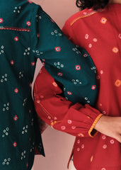 Flame red bandhej shirt with hand embroidery detailing - Sohni