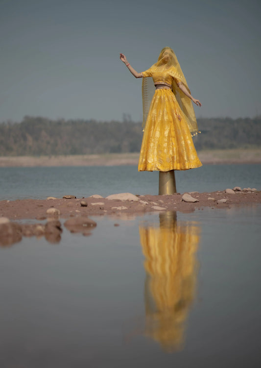 Yellow organza banarasi lehnga set - Sohni