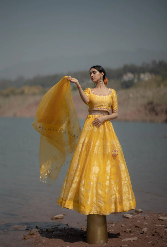 Yellow organza banarasi lehnga set - Sohni