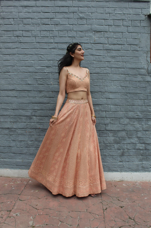 Peach thread and zari work georgette lehnga with hand embroidered blouse - Sohni