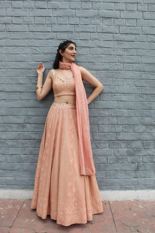 Peach thread and zari work georgette lehnga with hand embroidered blouse - Sohni