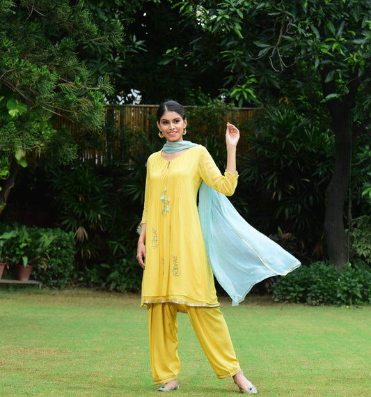 Gota patti pleated double layer suit set - Sohni