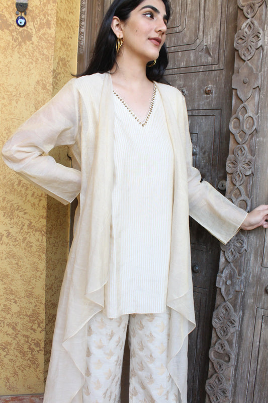 Ivory chanderi overlay with striped tissue top and banarasi bird motif pants - Sohni