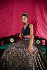 Space blue mughal jaal lehenga skirt with pleated blouse - Sohni