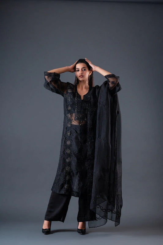 Black Organza Chikankari Suit Set - Sohni
