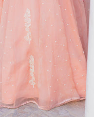 Blush Pink Khwabeeda Lehenga With Ivory Beads Embroidery - Sohni
