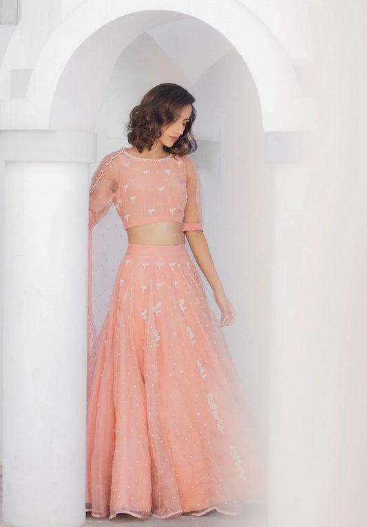 Blush Pink Khwabeeda Lehenga With Ivory Beads Embroidery - Sohni