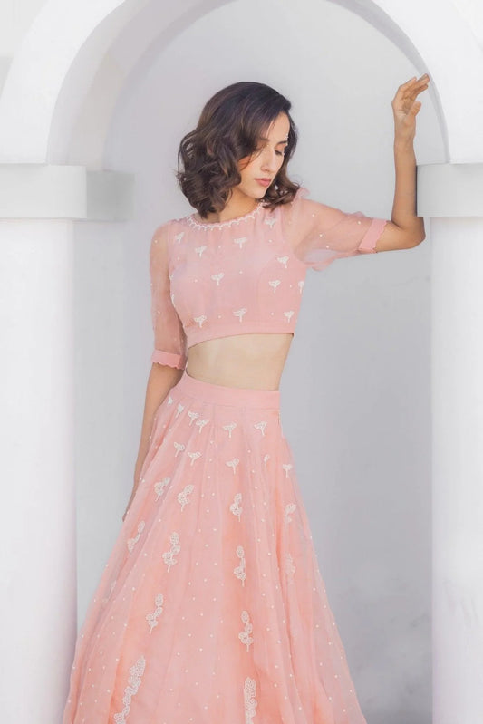 Blush Pink Khwabeeda Lehenga With Ivory Beads Embroidery - Sohni